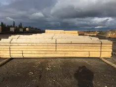 The key to successful pressure treatment is dry poles, like these hop poles